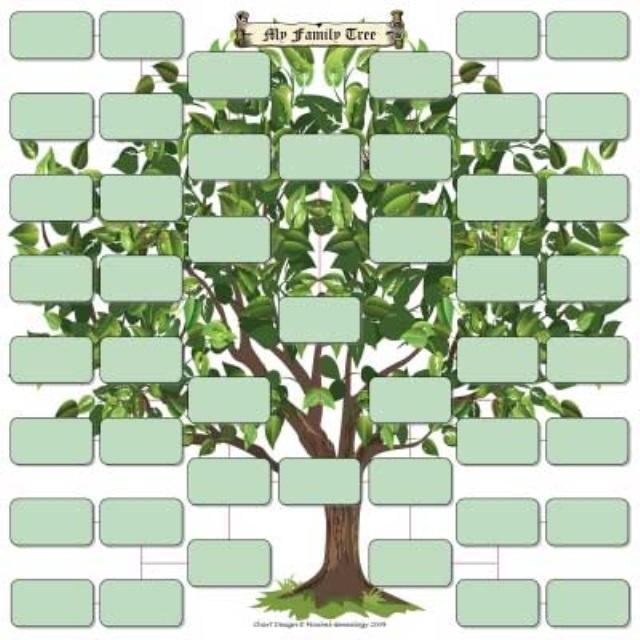 Генеалогическое дерево шаблон для заполнения без фото