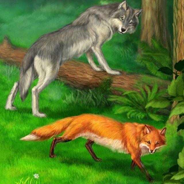 Слова волка и лисы. Волк («лиса и волк»). Братья Гримм волк и лиса. Лисы и волки. Лиса и волк рисунок.