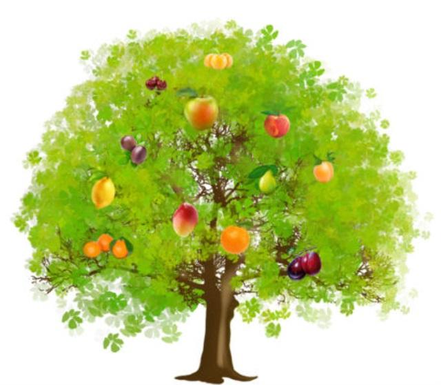 Плоды чудо дерева 5 букв. Яблоня дерево. Фрукты на деревьях для детей. Дерево с разными фруктами. Чудо дерево с фруктами.