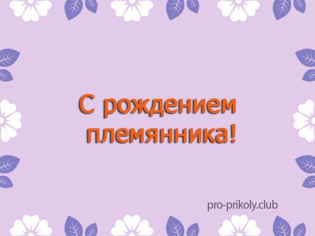 Родился племянник картинки