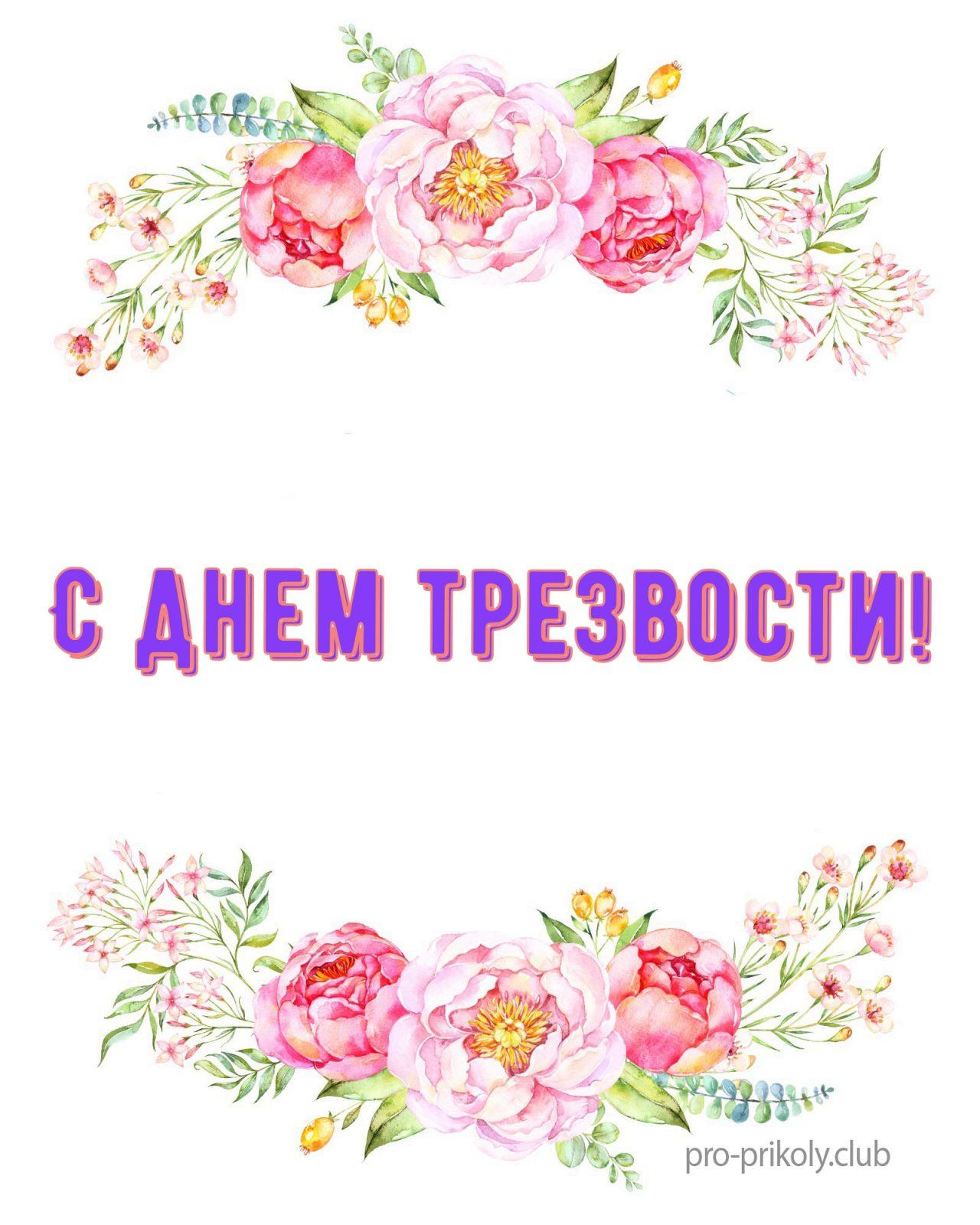 День трезвенника