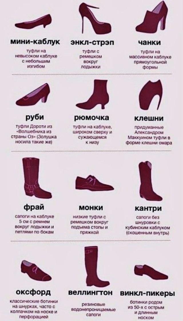 Виды обуви с описанием