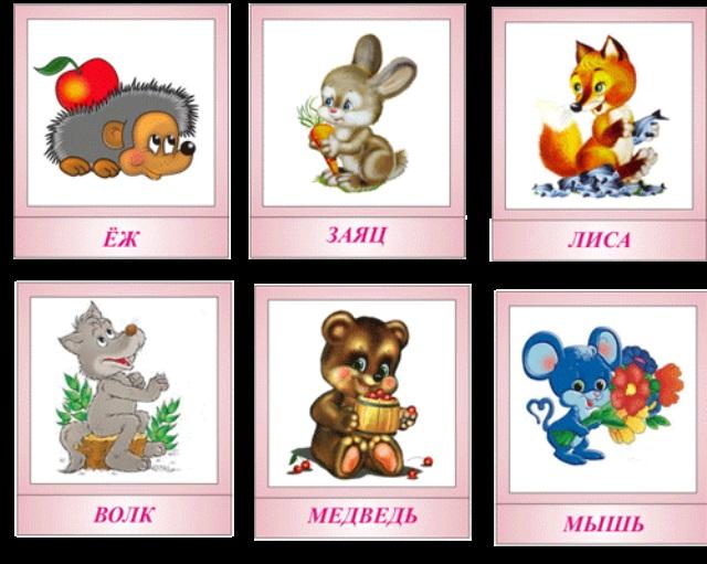 Собака лиса медведь. Карточки животных для детей. Карточки с животными для малышей. Карточки с изображением зайца. Карточки с изображением зверей для детей.