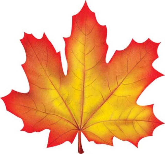 Разноцветный лист клена. Лист клена на а4. Кленовый лист а4 цветной. Листики осенние. Осенний листок.