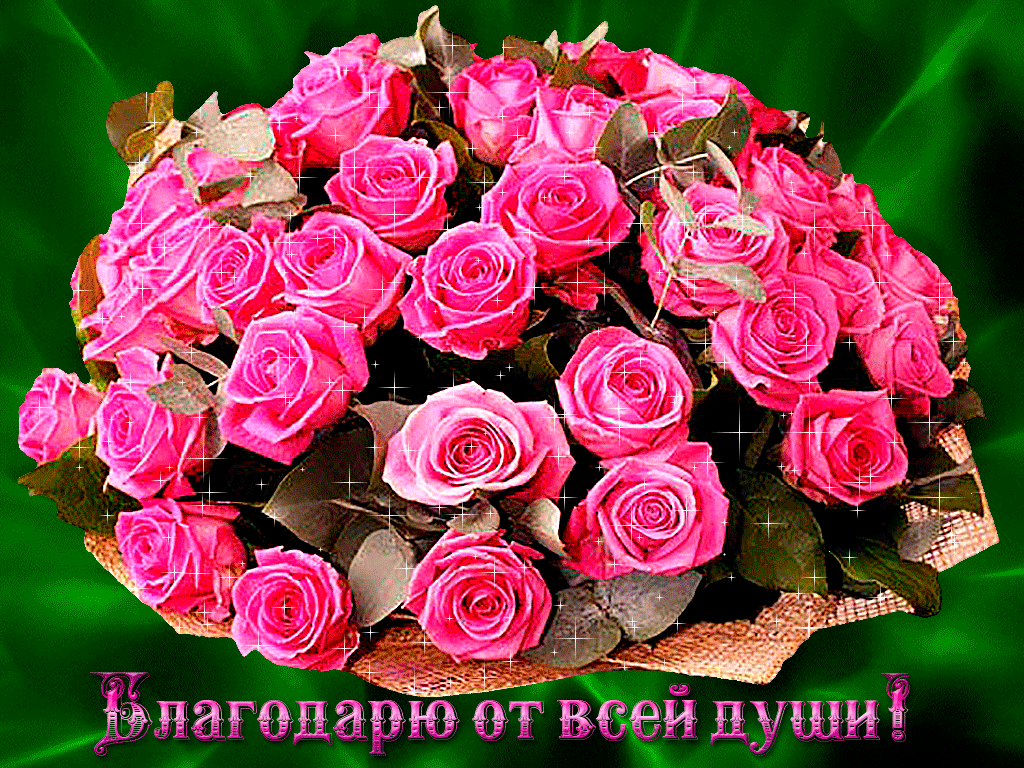 Песни от всей души желаю. Красивый букет благодарю. Красивый букет цветов спасибо. Букет цветов спасибо большое. Спасибо с красивыми букетами роз.