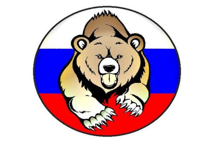Эмблема медведь. Медведь Россия. Флаг России с медведем. Почему на гербе медведь
