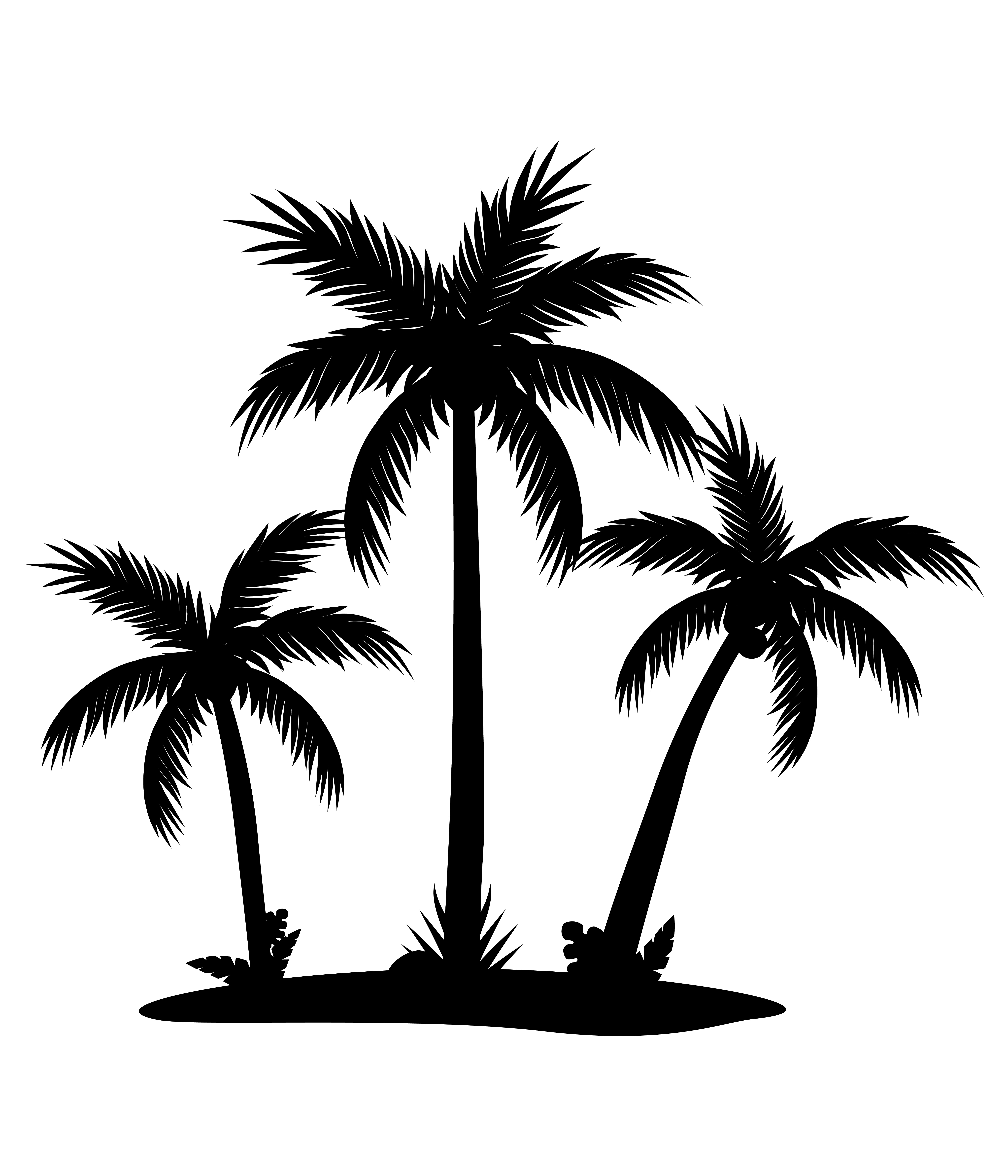 Черная Пальма на белом фоне