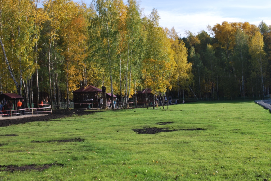 Парк победы екатеринбург беседки фото