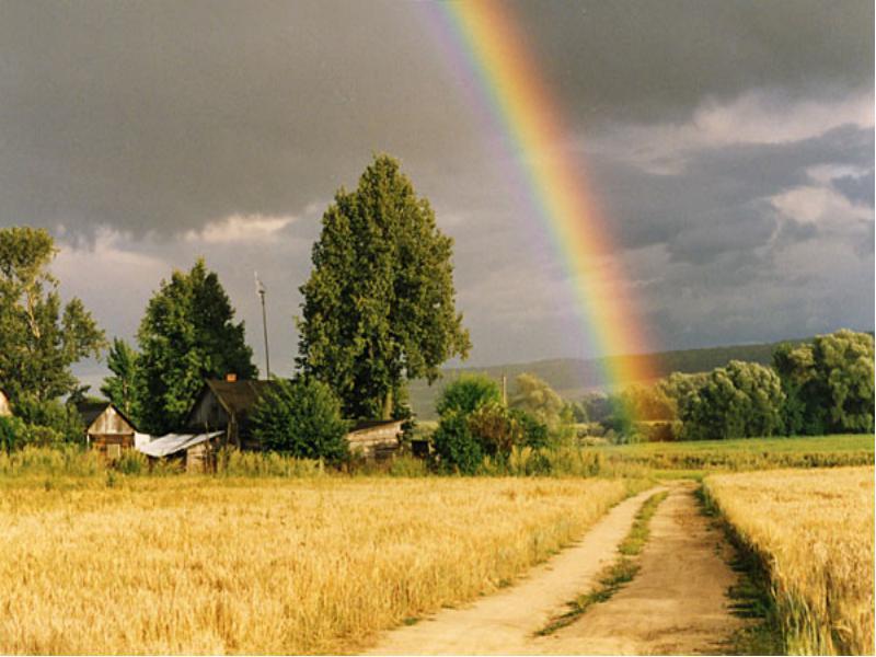 Красивые картинки родины