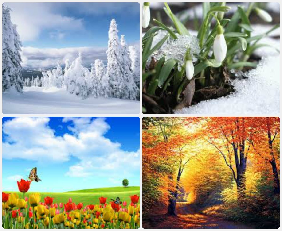 Картинки времена года. Времена года зима Весна лето осень. Пейзаж в четырёх времени года. 4 Поры года. Пейзаж по временам года.