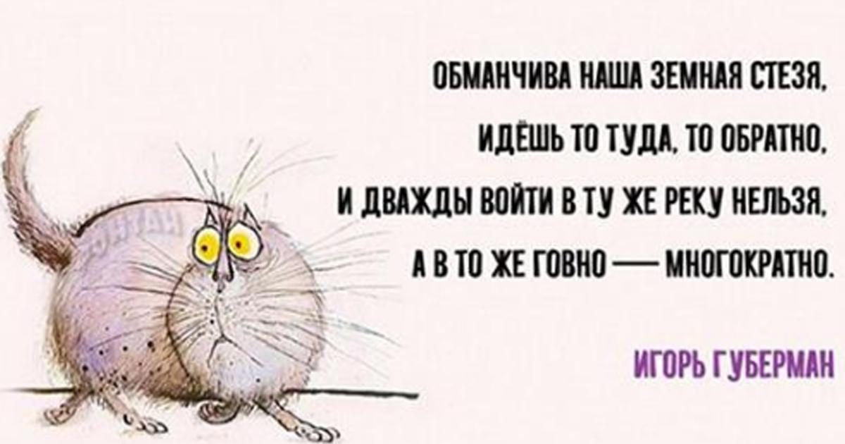 Четверостишье губермана. Губерман стихи. Губерман стихи смешные. Гарики Губермана про жизнь.