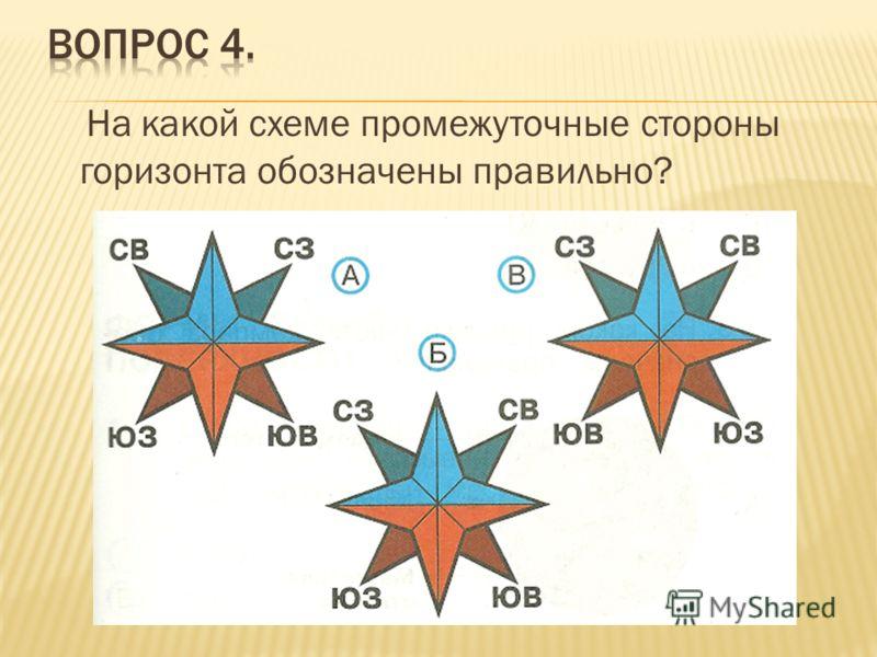 Стороны горизонта на схеме