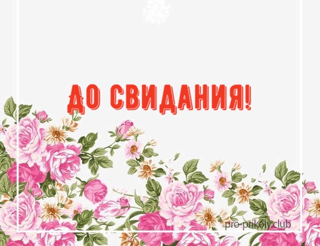 До свидания