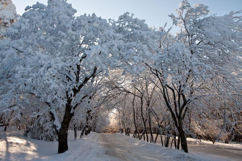 Территория зима. Ставропольский край зимой. Ставропольский край природа зима. Природа Ставрополья зимой. Ставропольский краевой зима.