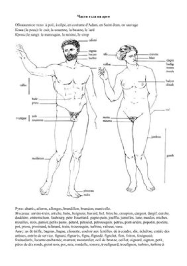 Части тела на старославянском языке картинки