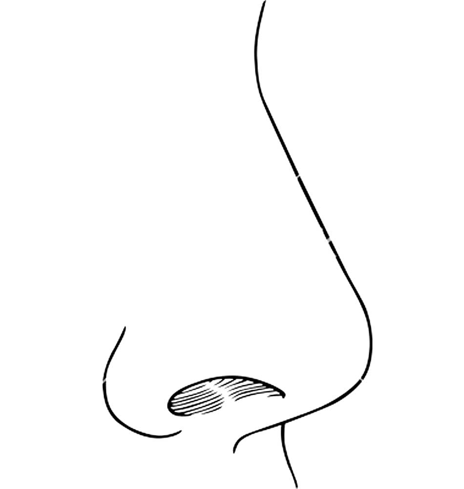 Как нарисовать нос легко для детей