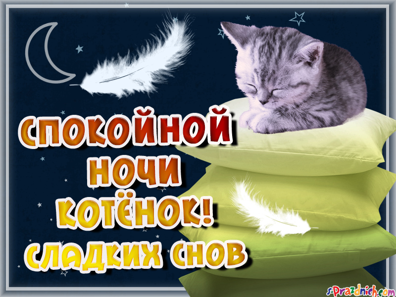 Картинка спи любимый. Сладких снов котенок. Котенок. Спокойной ночи!. Спокойной ночи котёнок мой. Спокойной ночи котики.