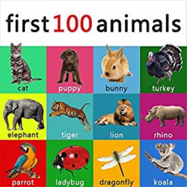 Kid learns animal. 100 Animals. Animals for Kids. First 100 animals. Animals book for Kids.