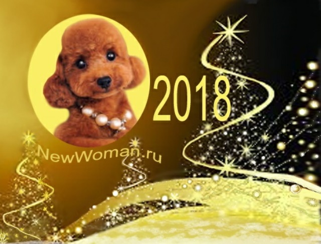 Какая 2018. 2018 Год кого. Следующий год собаки. 2018 Год по восточному. Год животных 2018.