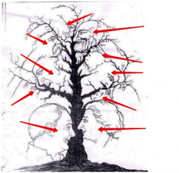 Сколько лиц на картинке дерево правильный ответ. Дерево с лицами головоломка. Сколько лиц на картинке дерево. Картинки сколько лиц на картинке. Дерево с лицами тест.