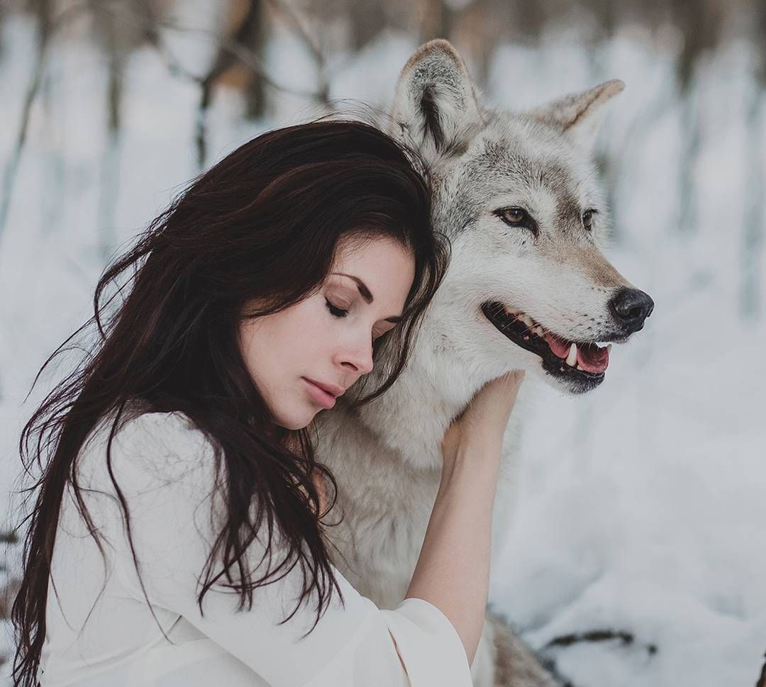 Женщина подобрала волка. Девушка с волком. Красивая девушка с волком. Волчица и девушка. Фотосессия с волком.