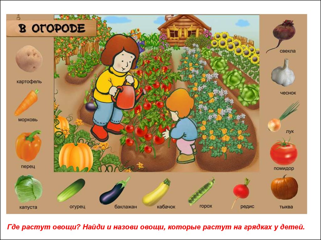 Есть и овощ в огороде. Овощи для дошкольников. Овощи на грядке. Огород с овощами для детей. Карточки для детей огород.