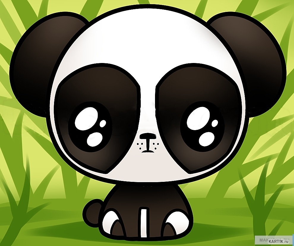 Cute Panda