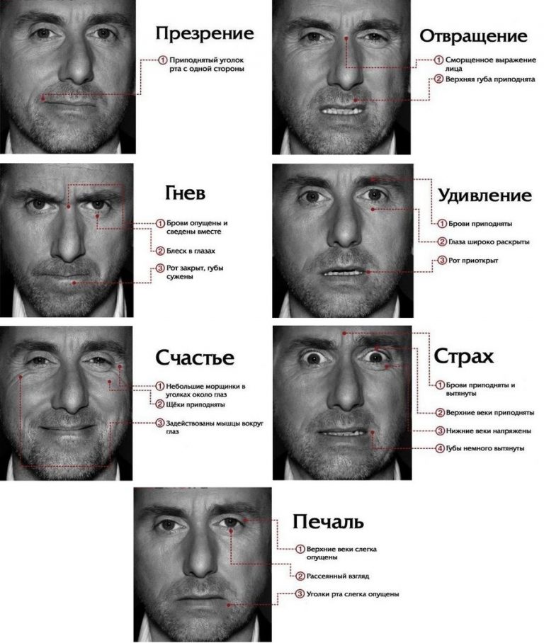 Мимика лица в картинках с описанием