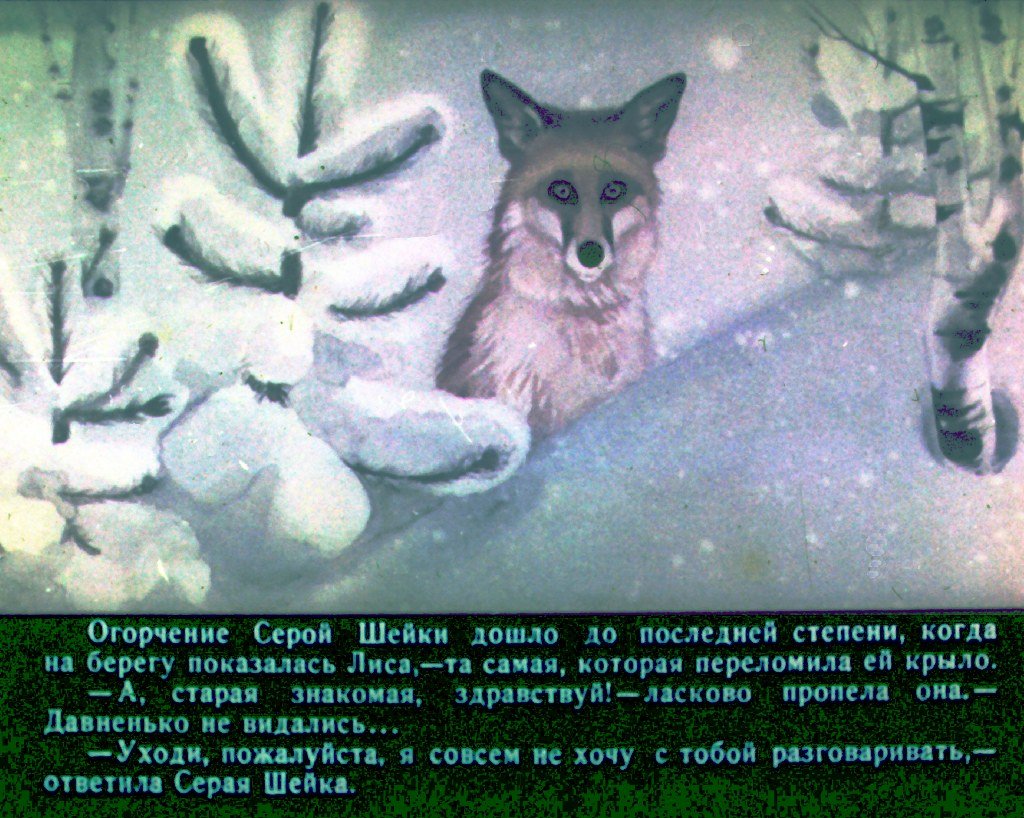 Краткое содержание рассказа серая. Диафильм серая шейка д.мамин-Сибиряк. Сочинение серая шейка. План рассказа серая шейка. Серая шейка текст.