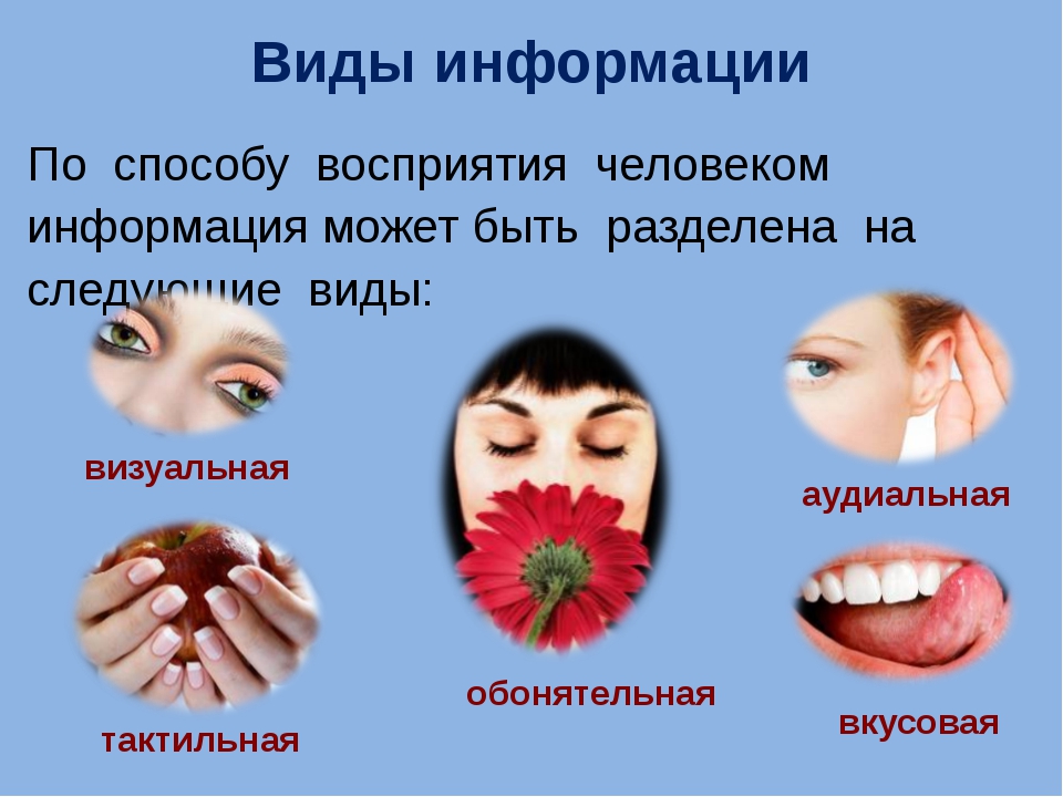 Виды по способу восприятия. Способы восприятия информации. Виды информации по способу восприятия человеком. Визуальный вид информации. Визуальный способ восприятия информации.