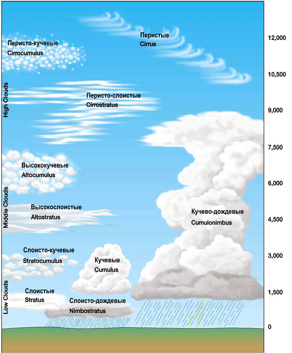 Облака бывают Кучевые перистые и