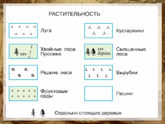 Топографические знаки 6 класс география картинки