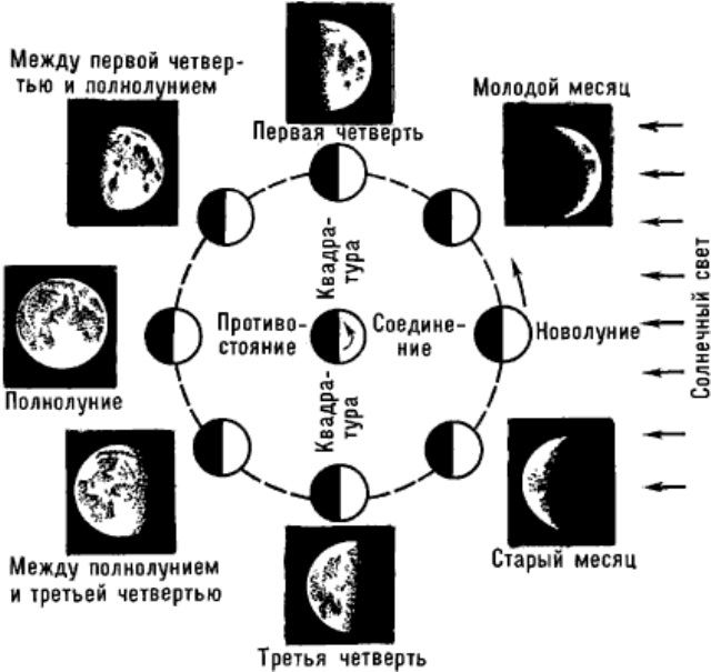 Месяц схема. Схема смены фаз Луны. Фазы Луны схема фаз. Лунный цикл схема. Фазы Луны схема из учебника.